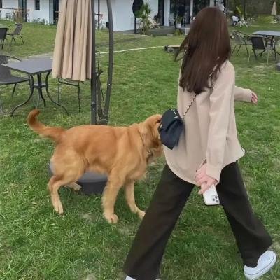 庚子风云
